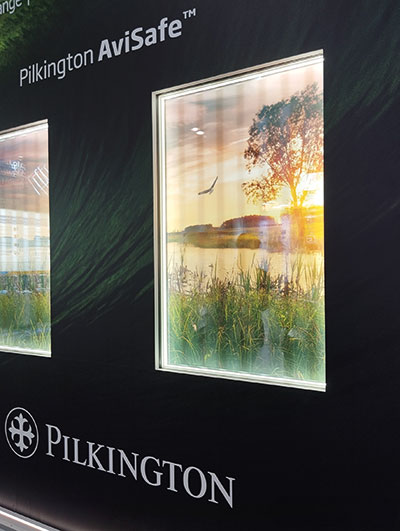 Pilkington-AVISAFE