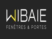 WIBAIE logo