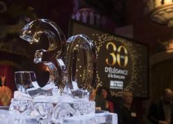 Convention annuelle des 30 ans de Storistes France
