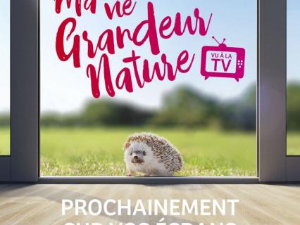 Le retour Grandeur Nature de l'attachante communication d'un séduisant réseau
