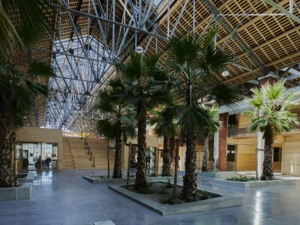 Rapport du GIEC : vagues de chaleur et stress thermique du bâtiment