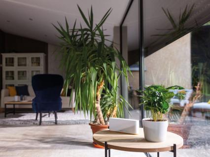 Connectivité, un allié précieux pour les motorisations