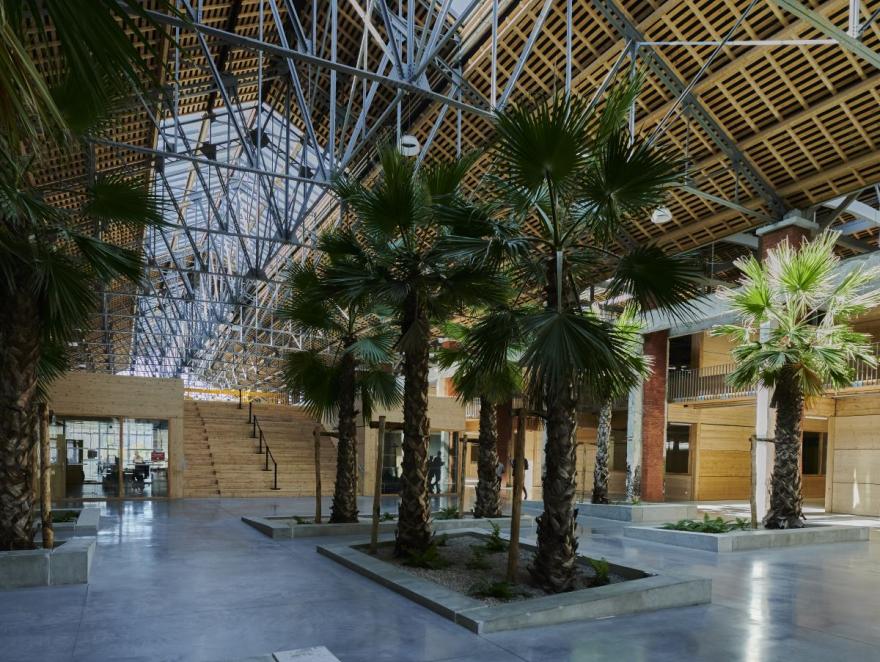 Rapport du GIEC : vagues de chaleur et stress thermique du bâtiment