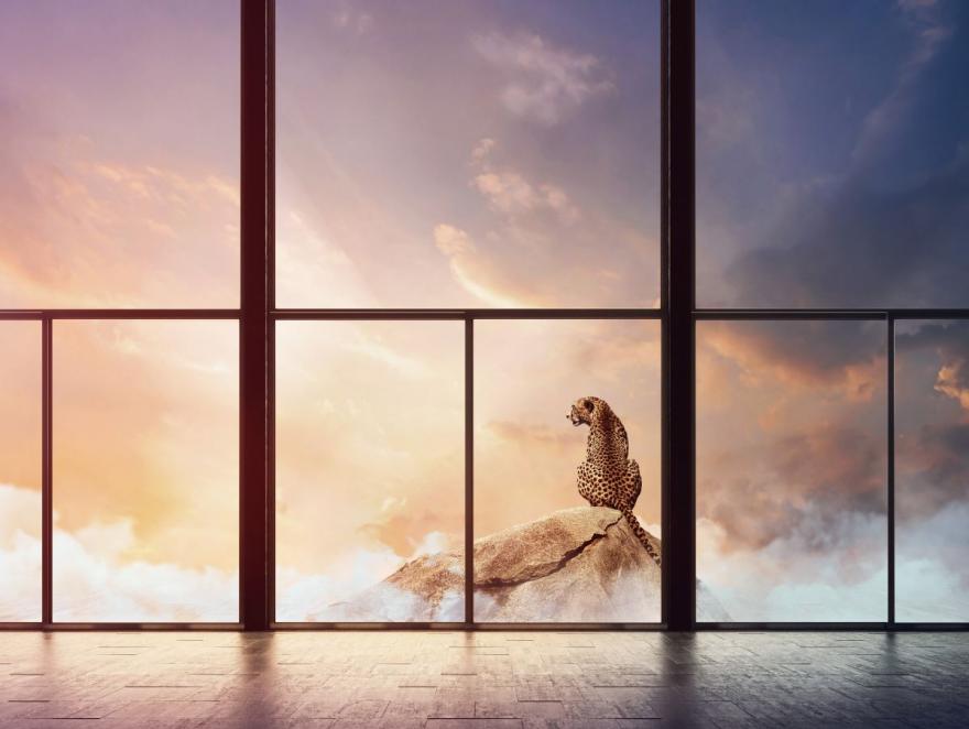 NSG Group innove en faveur de la décarbonation