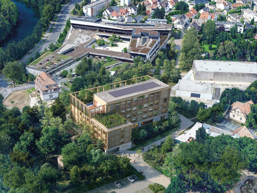 À Strasbourg, Oslo architectes imagine une école qui pousse avec la forêt
