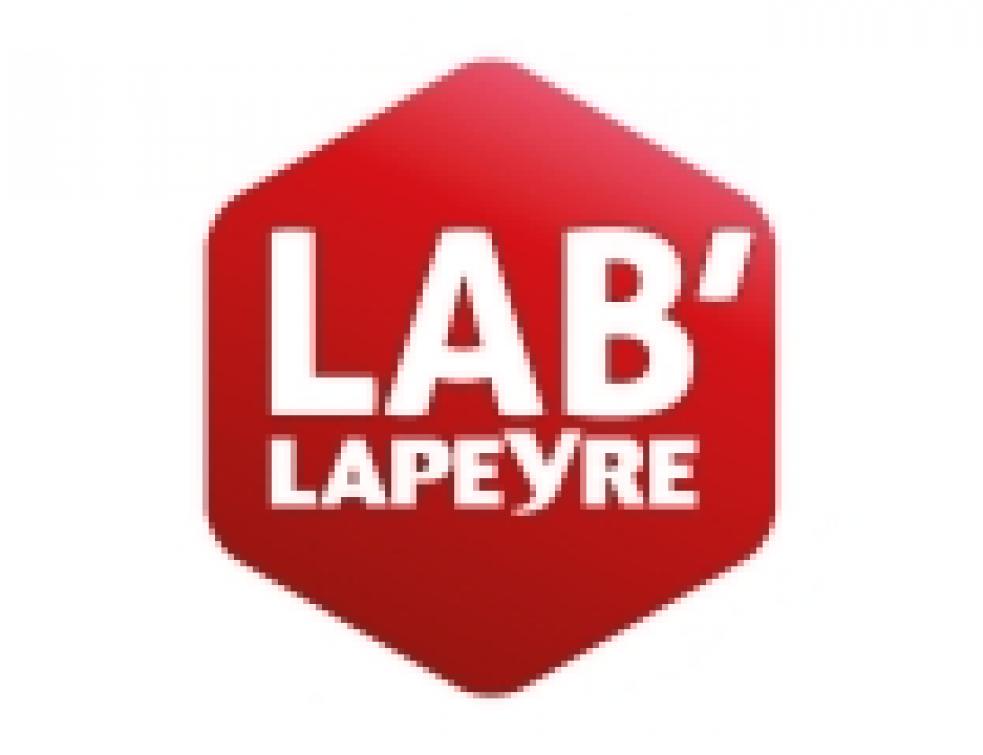 Création d'une cellule de veille Lab'Lapeyre