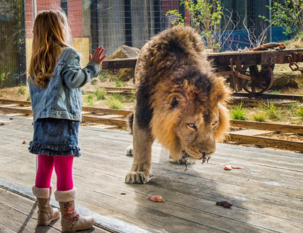 [Publi-Information] The Invisible Glass de Guardian Glass pour une autre vision sur le monde