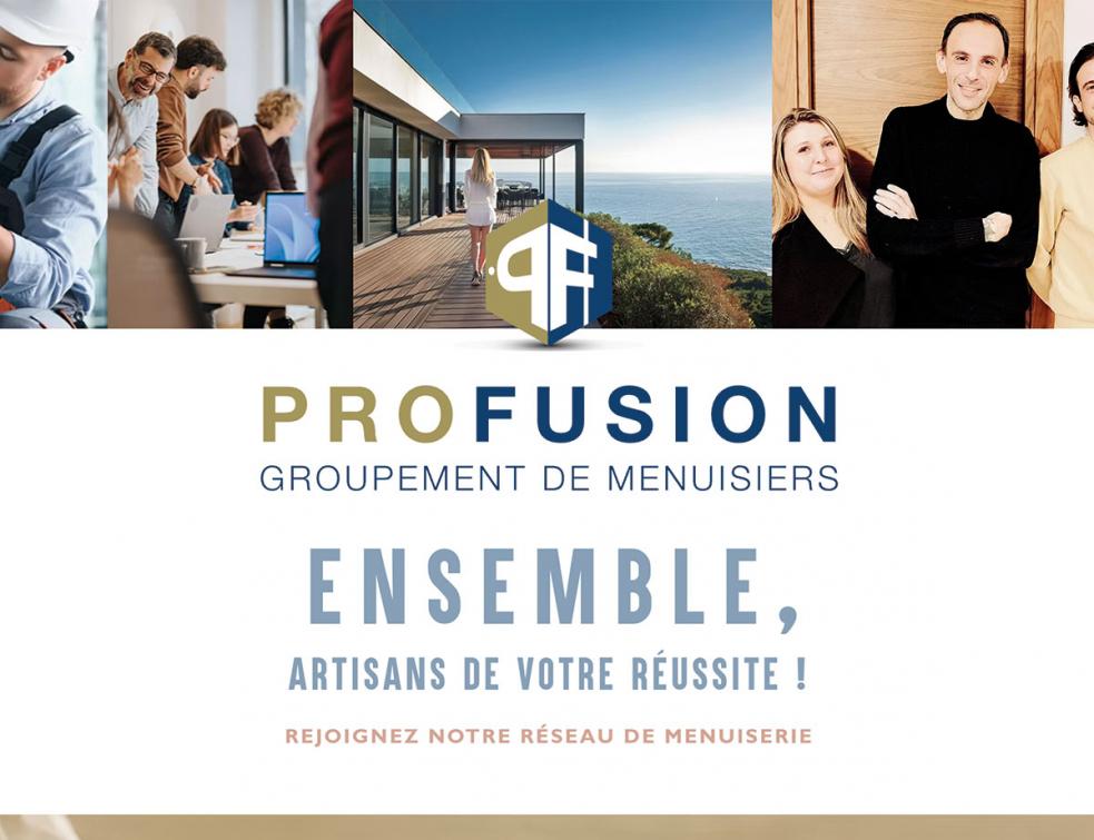 ProFusion_accueil-site